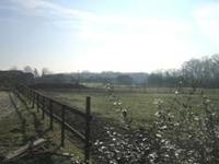 Haras de Monthomé